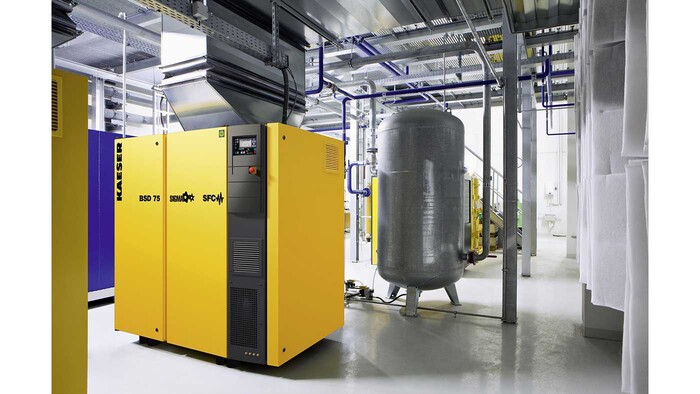 Skrūves tipa kompresors BSD